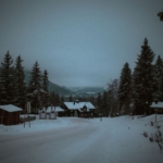 Norveç'te Werewolves Uyarlaması Başlıyor