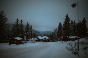Norveç'te Werewolves Uyarlaması Başlıyor