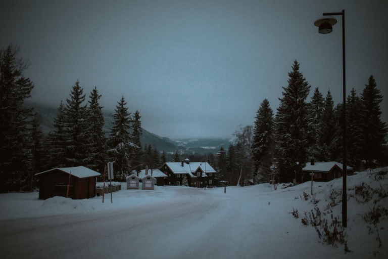 Norveç’te Werewolves Uyarlaması Başlıyor